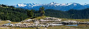 Cascades panorama from the upper meadow below Park Butte