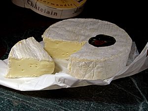 Cheese 16 bg 050606