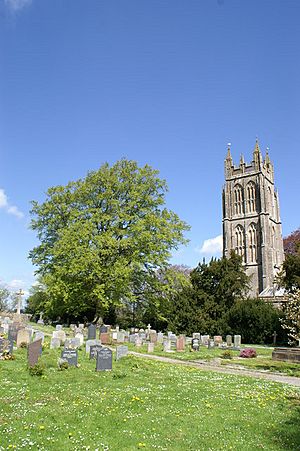 Chewton Mendip Church and churchyard