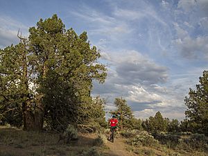 Cline Buttes Bike Trail, 2016