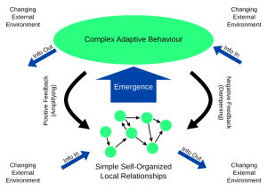 Complex adaptive system