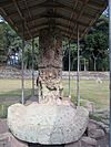 Copán Maya stelae 3.jpg