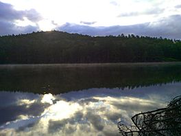 Cumerford Reservoir Inlet, Vermont.jpg