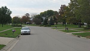 D.S. Rose Mound site