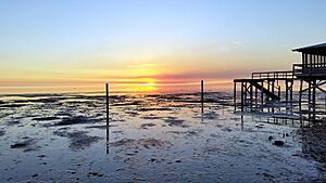 Dekle Beach sunset 1
