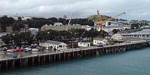 Devonport Naval Base with Mount Victoria visible in background