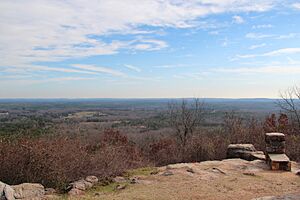 Dowdell knob