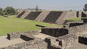 Estructura 17