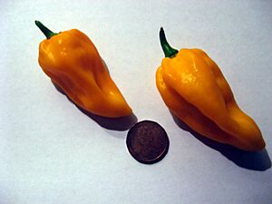 Fatalii