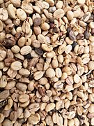 Fermented coffee beans