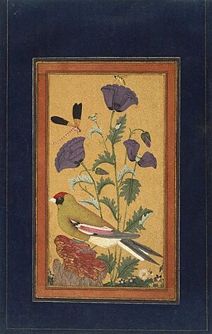 Finch, Poppies, Dragonfly, and Bee India (Deccan, Golconda)