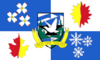 Flag of Pigeon Forge, Tennessee