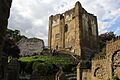Guildford Castle, 2015 (32) (21688488881)