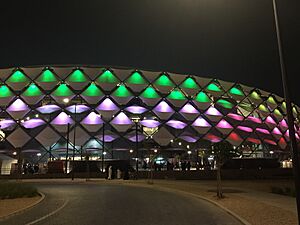 Hazza Bin Zayed Stadium night