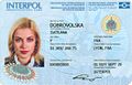 Interpol ID card front