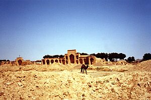 Iran - halte sur la route de la Soie - Camels on the ancient Silk Road (9249731580)