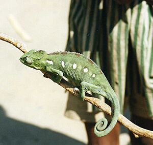 Isalo National Park