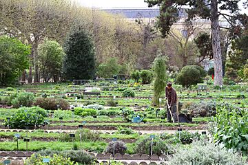 Jardin des Plantes de Paris, 4 April 2011