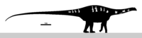 Katepensaurus Skeletal.svg