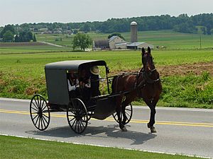 Lancaster County Amish 03
