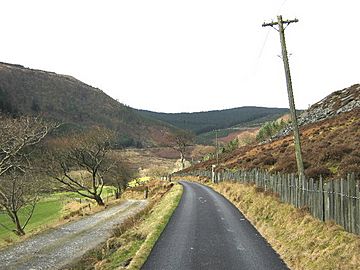 Lane up the Llefenni valley - geograph.org.uk - 1180865.jpg