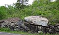 Large anorthosite xenolith in ophitic ilmenite gabbro (anorthosite series, Duluth Complex, Mesoproterozoic, 1099 Ma; Keene Creek East Skyline Parkway roadcut, Duluth, Minnesota, USA) 1 (22039818790)
