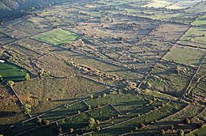 Lead rakes on Bonsall Moor (geograph 2511148)