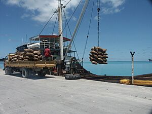 Loading copra at Betio port, Kiribati