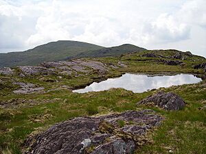 Lough Nambrackdarrig - geograph.org.uk - 245342