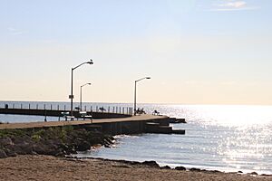 Luna pier
