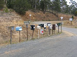 Mail Boxes Bruny Island