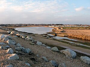 Milford on Sea , Sturt Pond - geograph.org.uk - 1721795