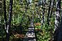 North Country National Scenic Trail.jpg