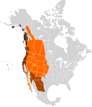 Odocoileus hemionus map.svg