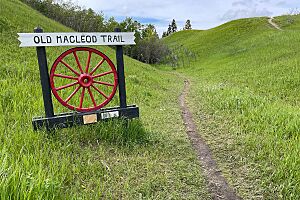 Okotoks Trail Sign