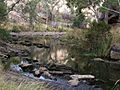 Onkaparinga NP river