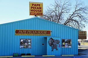 Papes nutcracker museum 2014