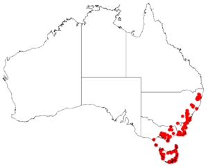 Parsonsia brownii Dist Map7.png