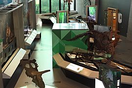 Philip J. Currie Dinosaur Museum interior
