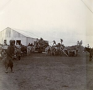 Pietersburg Camp, c.1901. (22473806473)