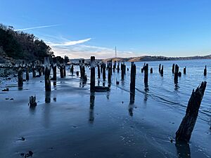 Pilings at Port Costa