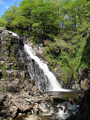 Pistyll Cain Waterfall - panoramio (1)