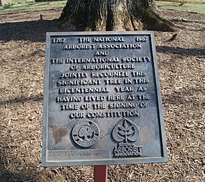 Plaque recognizing the Travilah Oak for its age