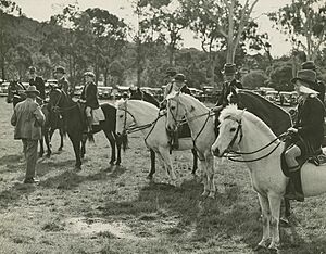 Pony Club members being judged at the Mt. Gravatt Show (4603303060)