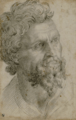 Portrait of a bearded man. Cellini, Benvenuto