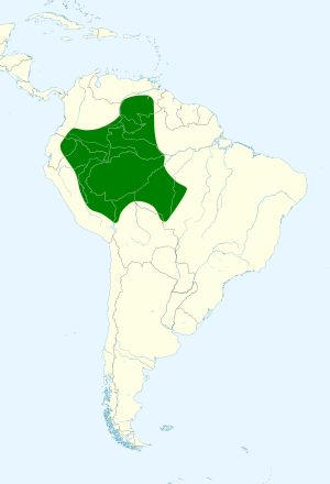 Pyrilia barrabandi map.svg