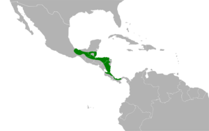 Ramphocelus sanguinolentus map.svg