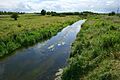 RiverGoul1876-2
