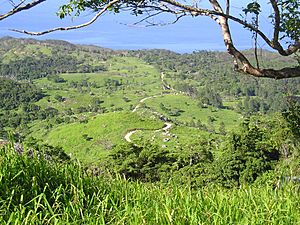 Road up Mount Bently, Palm Island