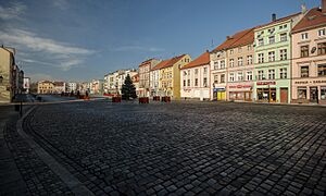 SM Chojnów Rynek (0) ID 593382